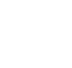 縱橫國際很是不同